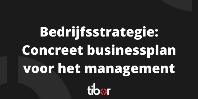 bedrijsstrategie slide tibor